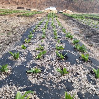 이종권님의 기타작물 · 자유게시판 작성글 사진