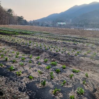 이종권님의 기타작물 · 자유게시판 작성글 사진