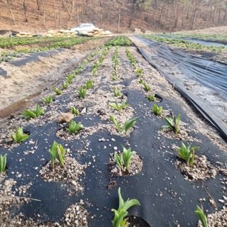 이종권님의 기타작물 · 자유게시판 작성글 사진