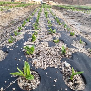 이종권님의 기타작물 · 자유게시판 작성글 사진