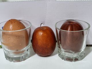김성태님의 자유주제 · 사진전 작성글 사진