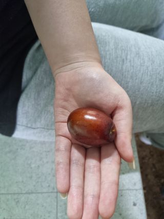 김성태님의 자유주제 · 사진전 작성글 사진