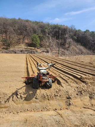 푸른농원님의 고추 · 파종•정식 작성글 사진