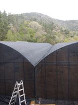 팜모닝 자유주제·사진전 게시글 이미지