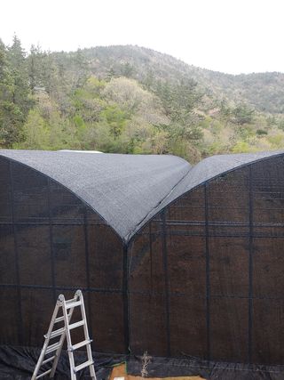 김광국님의 자유주제 · 사진전 작성글 사진