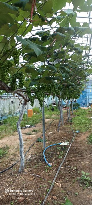 김광국님의 자유주제 · 사진전 작성글 사진