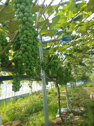 김광국님의 자유주제 · 사진전 작성글 사진