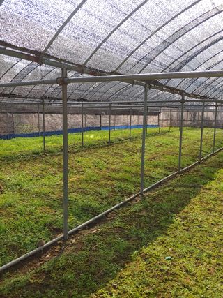 김광국님의 자유주제 · 사진전 작성글 사진