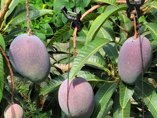 박성완님의 자유주제 · 자유게시판 작성글 사진