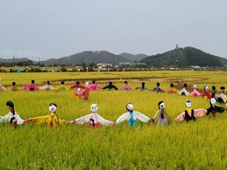 박성완님의 자유주제 · 자유게시판 작성글 사진