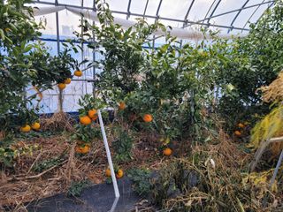 박성완님의 자유주제 · 자유게시판 작성글 사진