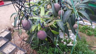 박성완님의 자유주제 · 자유게시판 작성글 사진