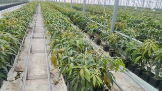 박성완님의 자유주제 · 자유게시판 작성글 사진