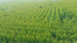 박성완님의 자유주제 · 자유게시판 작성글 사진