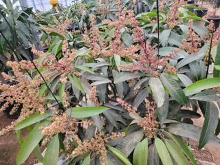 박성완님의 자유주제 · 자유게시판 작성글 사진