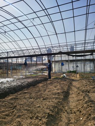 미강님의 자유주제 · 사진전 작성글 사진