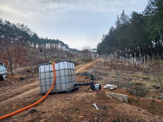 이근배님의 자유주제 · 사진전 작성글 사진