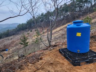 이근배님의 자유주제 · 사진전 작성글 사진