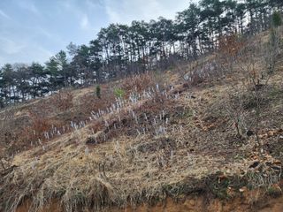 이근배님의 자유주제 · 사진전 작성글 사진