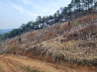 이근배님의 자유주제 · 사진전 작성글 사진