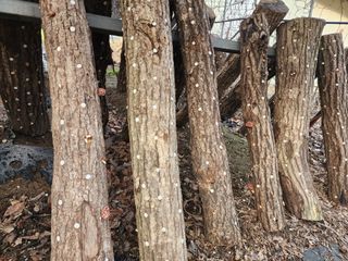 이근배님의 자유주제 · 사진전 작성글 사진