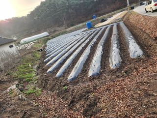 이근배님의 자유주제 · 사진전 작성글 사진