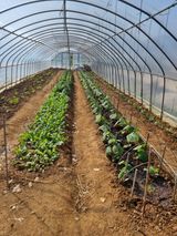 팜모닝 자유주제·자유게시판 게시글 이미지