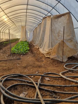 나민님의 자유주제 · 자유게시판 작성글 사진