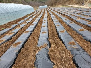 사랑으로님의 자유주제 · 사진전 작성글 사진