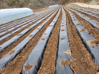 사랑으로님의 자유주제 · 사진전 작성글 사진