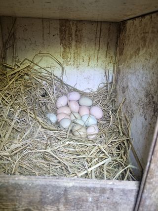 정민지호맘님의 자유주제 · 사진전 작성글 사진