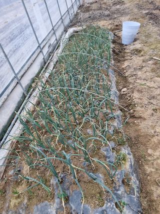 정민지호맘님의 자유주제 · 사진전 작성글 사진