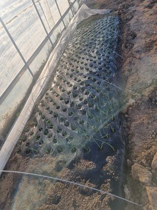 정민지호맘님의 자유주제 · 사진전 작성글 사진