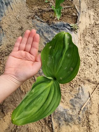 정민지호맘님의 자유주제 · 사진전 작성글 사진