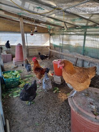 정민지호맘님의 자유주제 · 사진전 작성글 사진