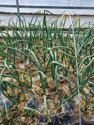 정민지호맘님의 자유주제 · 사진전 작성글 사진