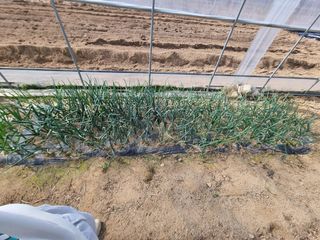 정민지호맘님의 자유주제 · 사진전 작성글 사진