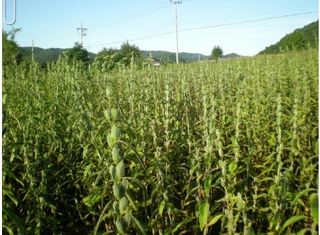 신현효님의 자유주제 · 사진전 작성글 사진