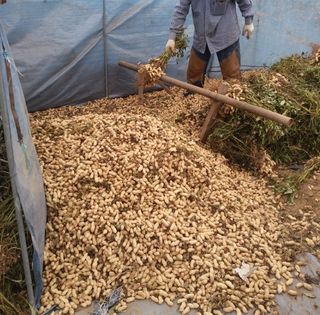 신현효님의 자유주제 · 사진전 작성글 사진