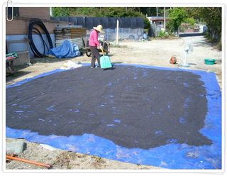 신현효님의 자유주제 · 사진전 작성글 사진