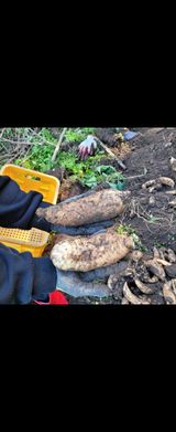 팜모닝 자유주제·사진전 게시글 이미지