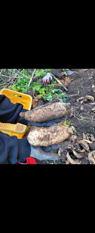 우리님의 자유주제 · 사진전 작성글 사진