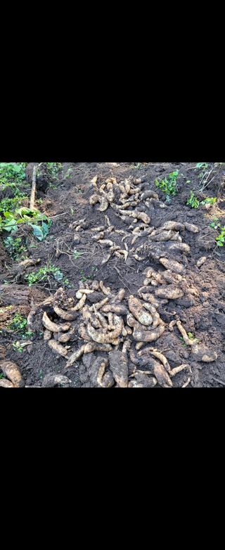 우리님의 자유주제 · 사진전 작성글 사진