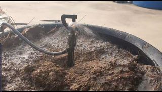 포깅농자재님의 블루베리 · 자유게시판 작성글 사진