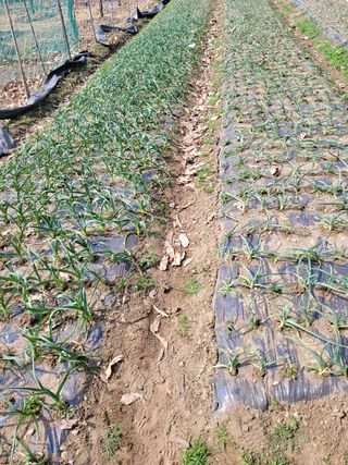 김주리님의 자유주제 · 자유게시판 작성글 사진