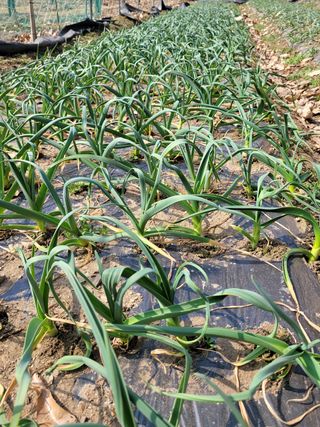 김주리님의 자유주제 · 자유게시판 작성글 사진