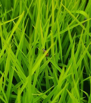 라우미님의 자유주제 · 사진전 작성글 사진