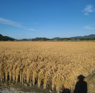 라우미님의 자유주제 · 사진전 작성글 사진
