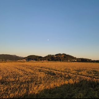 라우미님의 자유주제 · 사진전 작성글 사진