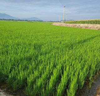 라우미님의 자유주제 · 사진전 작성글 사진